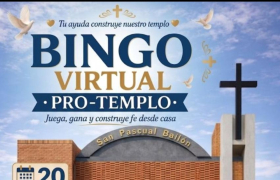 Pro